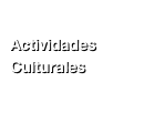 
Actividades Culturales